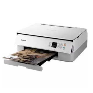 Impresora Canon Gris/Blanca