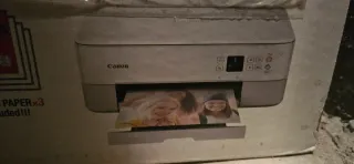 Impresora Canon Gris/Blanca