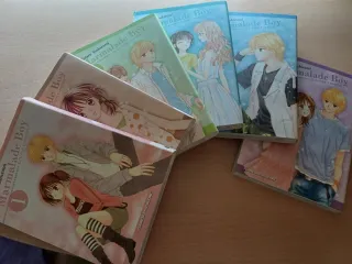 Manga "Marmalade Boy"