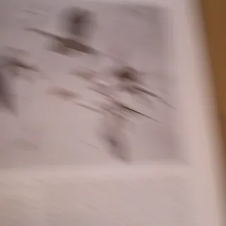 Libro diarios de viaje de Peter Scott (Inglés)