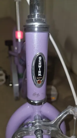 Bicicleta Infantil Schwinn Morada 16