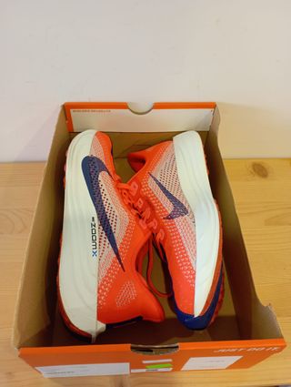 Nike (44 EU) Pegasus Plus Rojo