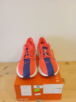 Nike (44 EU) Pegasus Plus Rojo