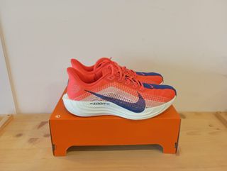 Nike (44 EU) Pegasus Plus Rojo