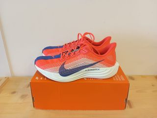 Nike (44 EU) Pegasus Plus Rojo