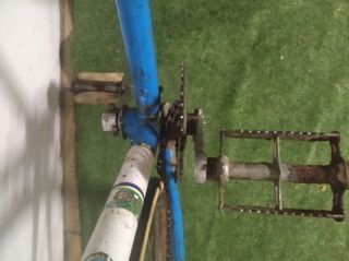 Gimson clasica Juvenil