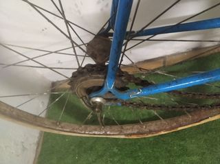 Gimson clasica Juvenil