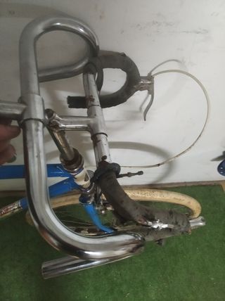 Gimson clasica Juvenil