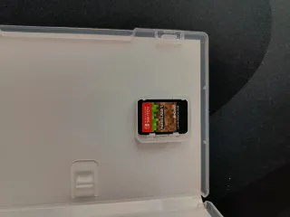 Minecraft Nintendo Switch