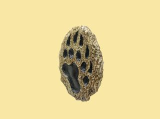 Esculturas originales hombre oso gay y Garra oso