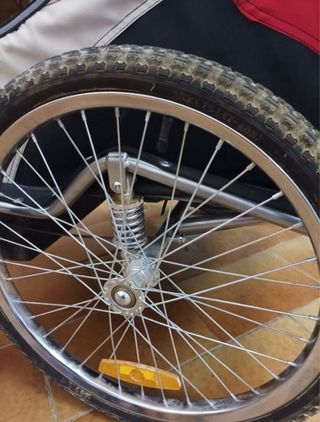 Carrito bici 2 plazas Ecobike