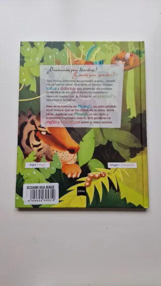 Lote de 2 libros para aprender inglés