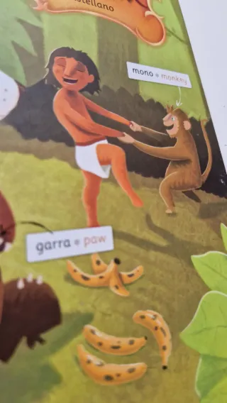 Lote de 2 libros para aprender inglés