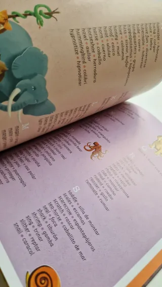 Lote de 2 libros para aprender inglés