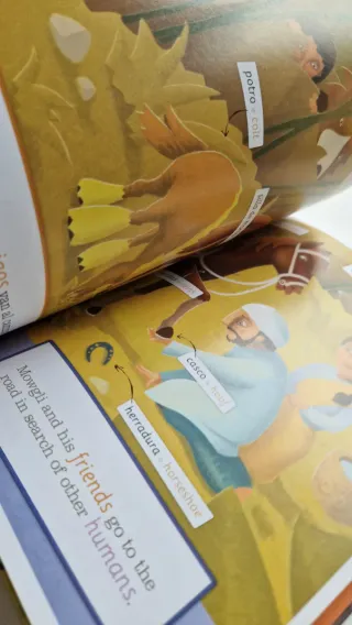 Lote de 2 libros para aprender inglés