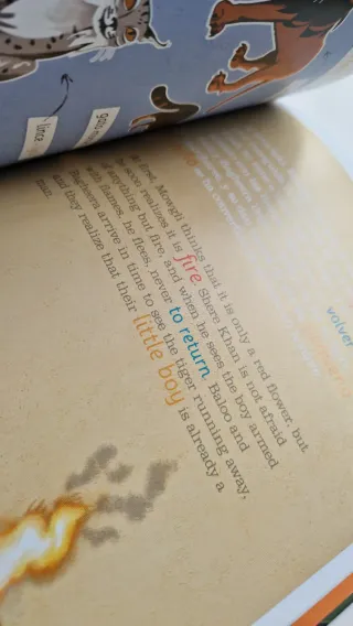 Lote de 2 libros para aprender inglés