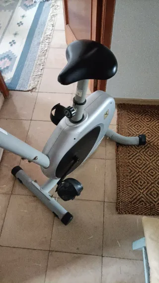 Bicicleta Estática Gris