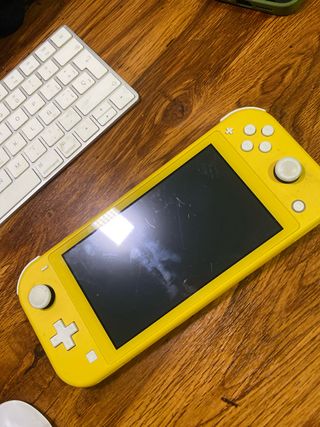 Nintendo Switch Lite + Animal Crossing