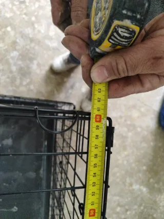 Gabbie impilabili per cani