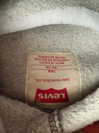 Felpa Levi's Grigia con Logo Camouflage