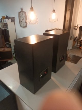Altavoces Vieta PR77 Vintage IMPECABLES