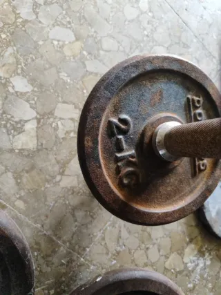 Mancuernas y discos de pesas