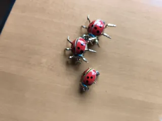 Set 3 spille coccinella oro e rosse