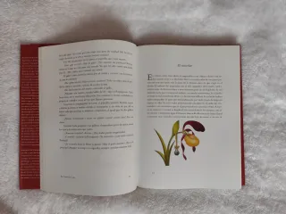 Cuentos (Spanish Edition)