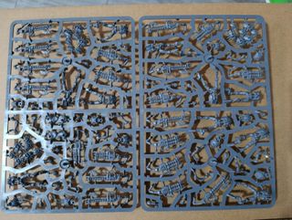 Kill Team: Círculo Canóptico Warhammer