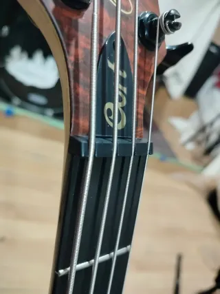 Bajo Cort Curbow 4