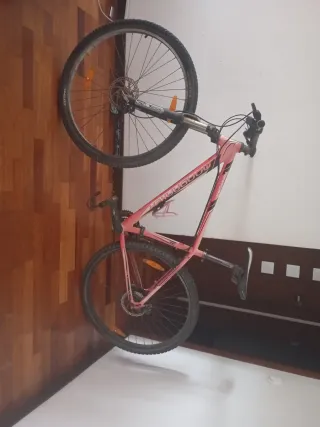 Bicicleta Montaña Rosa