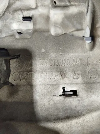 Tapa motor Seat 1.6 TDI