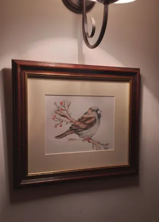 Cuadro gorrión en acuarela