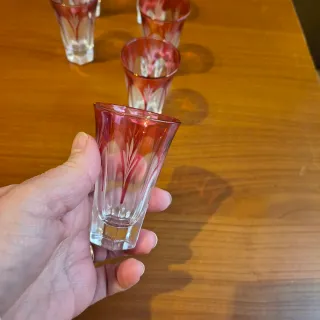 6 Bicchierini Liquore Vintage Incisi fucsia