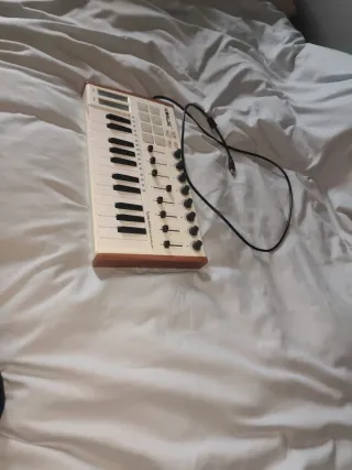 Teclado MIDI Worlde Tuna mini