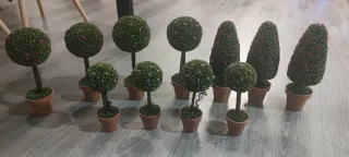Set 11 árboles decorativos topiaria