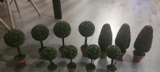 Set 11 árboles decorativos topiaria