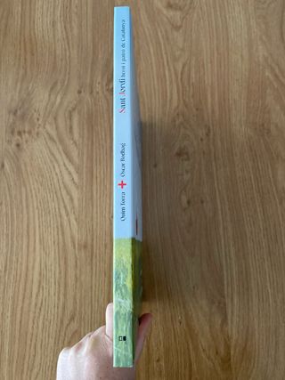 Sant Jordi, heroi i patró de Catalunya