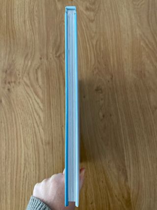 Sant Jordi, heroi i patró de Catalunya