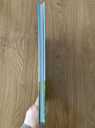 Sant Jordi, heroi i patró de Catalunya