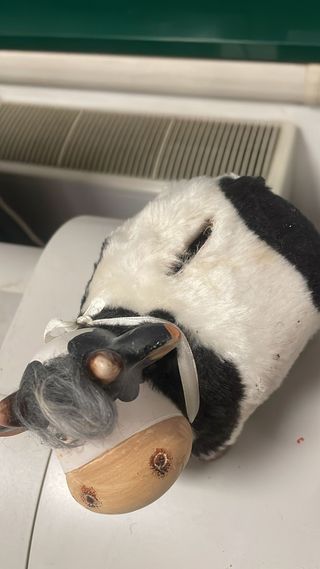 Salvadanaio Mucca Ceramica Decorata Campana