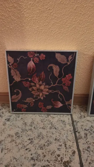 2 Cuadros decorativos florales