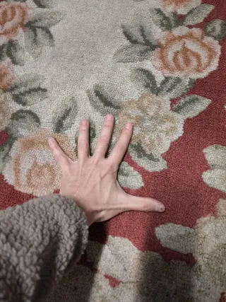 Alfombra aubusson vintage