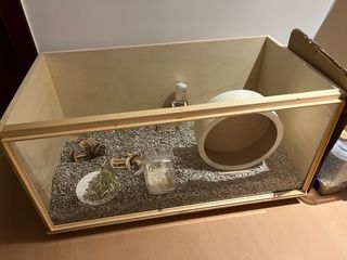 Terrario/Jaula Hamster