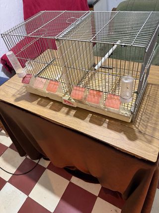 Gabbie di allevamento 60cm