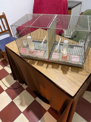 Gabbie di allevamento 60cm