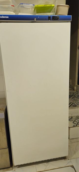 4 Congeladores y 1 Nevera hosteleria