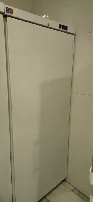 4 Congeladores y 1 Nevera hosteleria
