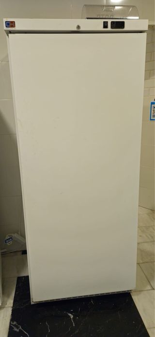 4 Congeladores y 1 Nevera hosteleria