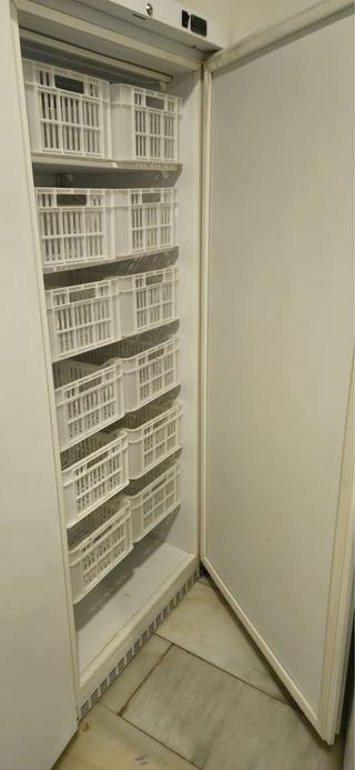 4 Congeladores y 1 Nevera hosteleria